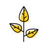 Icon of a growing plant